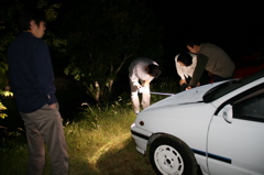 ���ʑ���