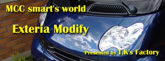 �G�N�X�e���A