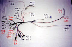 �n�[�l�X�ʐ^